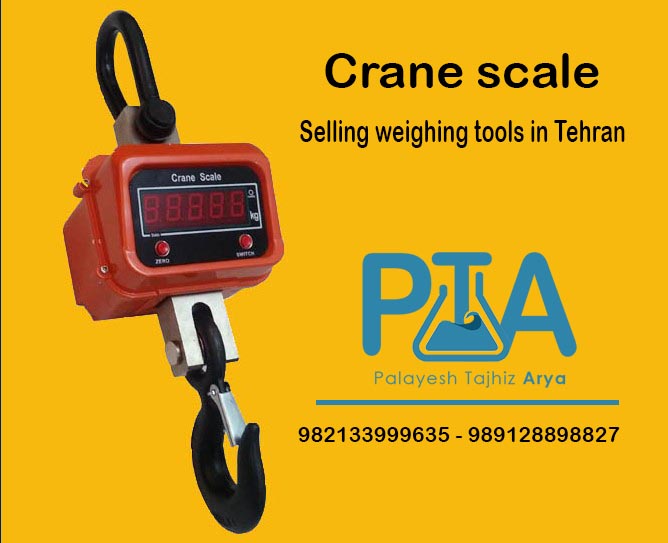 Crane scale